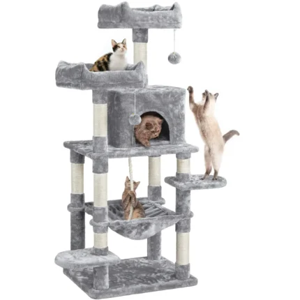 7_3_1779036849_6147