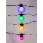 7_4_1736945256_11_5499