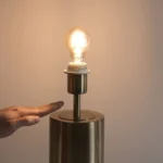 7_5_1726050488_7318