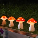 7_7_1709123168_11_9486