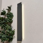 7_7_1733922250_3184