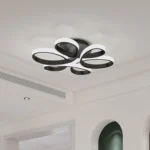 8_0_1748328610_11_6172