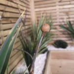 8_1_1680014838_12_4013