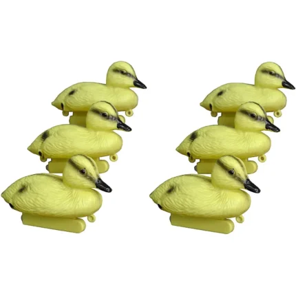 8_4_1716467238_11_6970