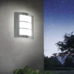 8_6_1721899011_2826