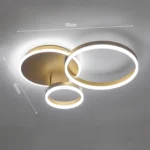 8_6_1747974221_11_4037