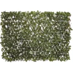 8_8_1707834126_11_3350