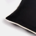 8_9_1738330241_6004