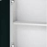 9_3_1769041700_1815