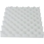 9_6_1737099644_11_6451