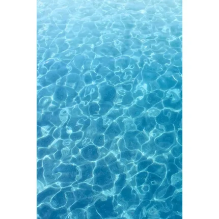 9_9_1655151249_12_6606